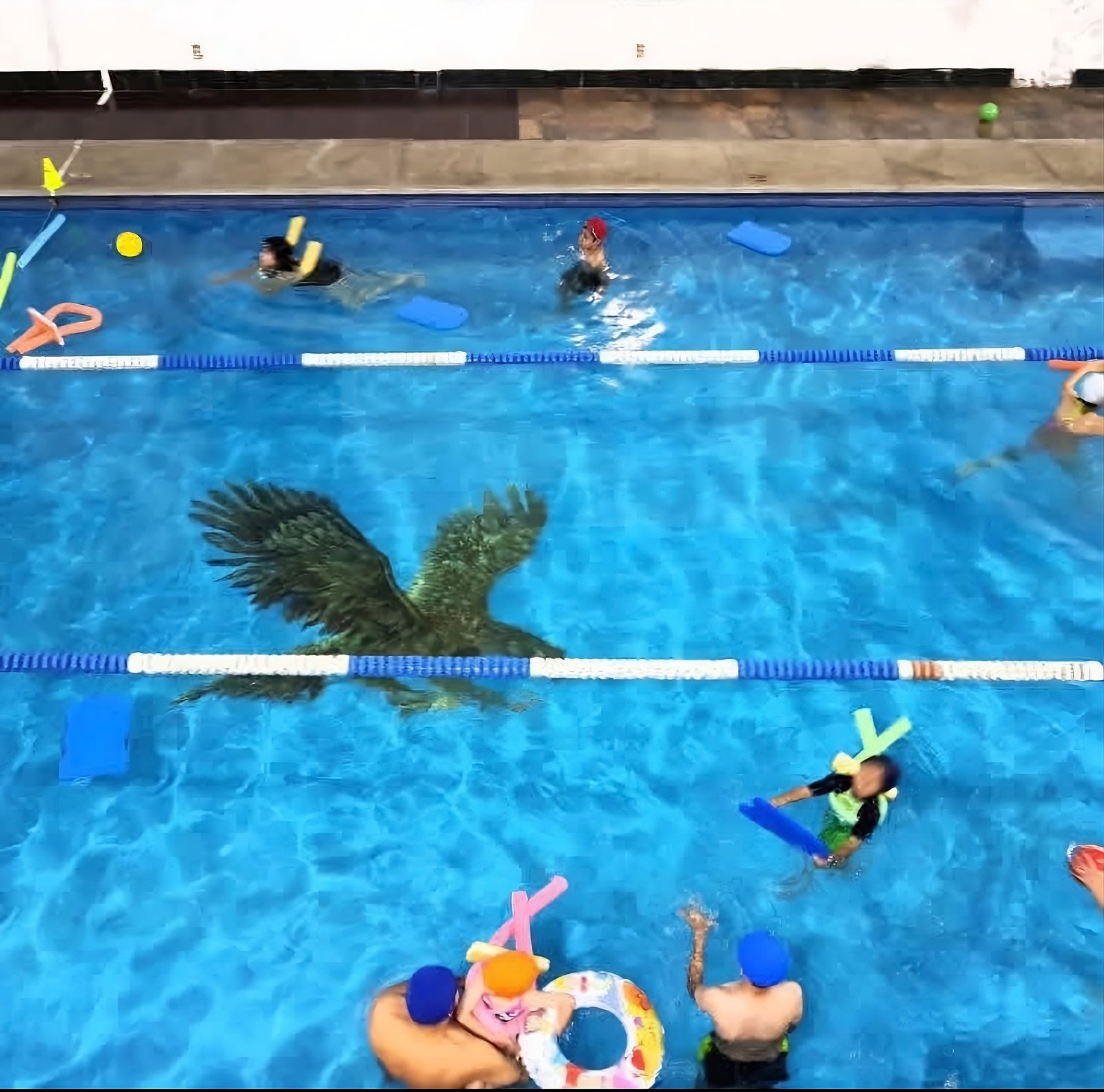 Escuela de natación con alberca