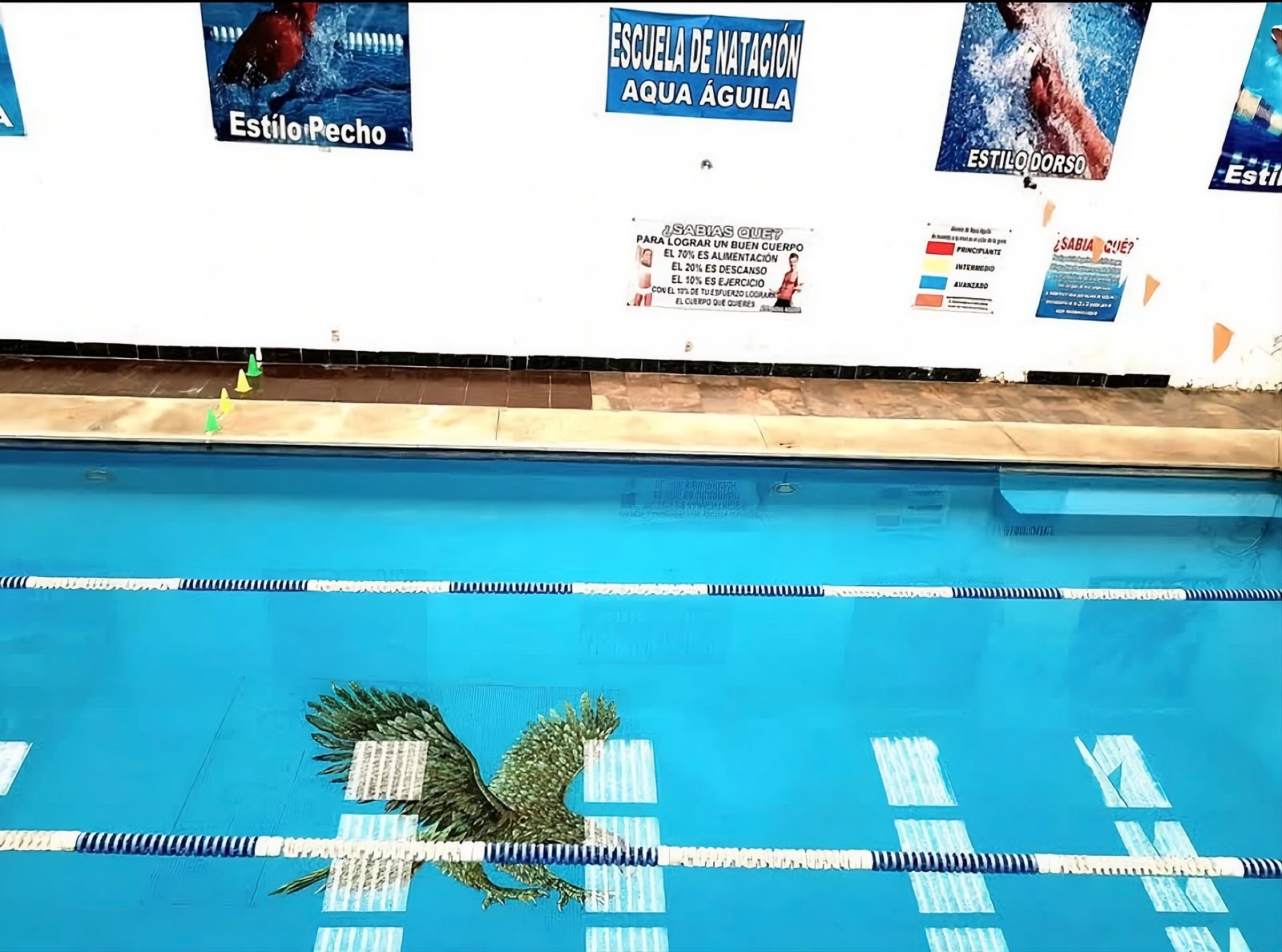 Clase de natación